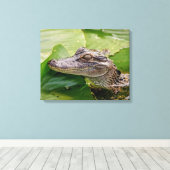 Toile 20x16 Jeune Alligator (Insitu (Plancher de Bois))