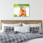 Toile 20x16 Jeune marmotte (Insitu(Chambre))