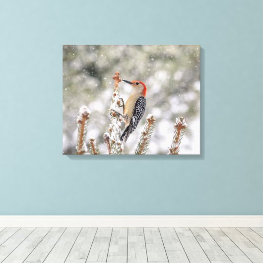 Toile 20x16 Pic à ventre rouge dans la neige (Insitu (Plancher de Bois))
