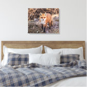 Toile 20x16 Red Fox haut proche et personnel (Insitu(Chambre))