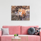Toile 20x16 Red Fox haut proche et personnel (Insitu(Salon))