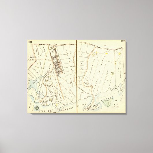 Toile 228229 Seigle (Recto)