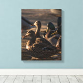Toile 2318-Canards colverts femelles (Insitu (Plancher de Bois))