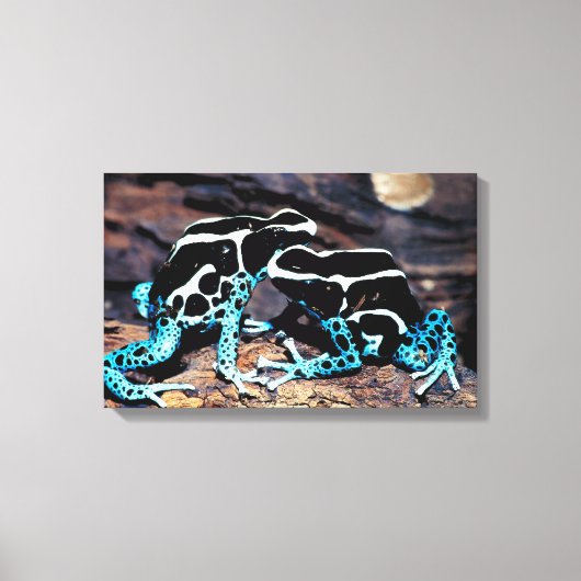 TOILE 23898179 (Recto)