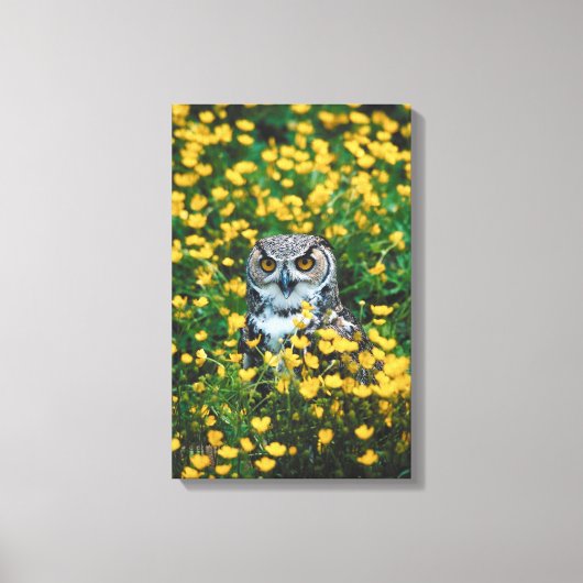 TOILE 23901671 (Recto)