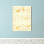 Toile 23 Migration inter-États 1890 ALCT (Insitu (Plancher de Bois))