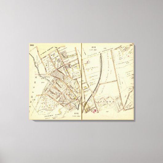 Toile 240241 Seigle (Recto)