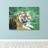 TOILE 24103189 (Insitu (Plancher de Bois))