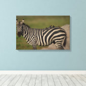 TOILE 24109277 (Insitu (Plancher de Bois))