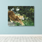 TOILE 24114343 (Insitu (Plancher de Bois))