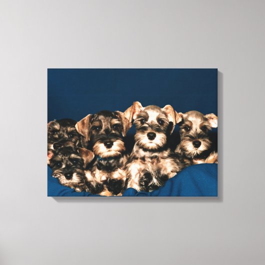 TOILE 24117057 (Recto)