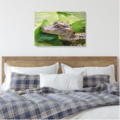 Toile 24x16 Jeune Alligator (Insitu(Chambre))