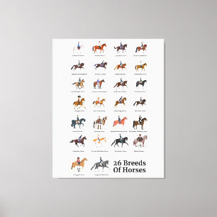 Toile 26 races de chevaux