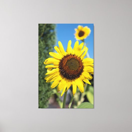 Toile 2 tournesols (Recto)