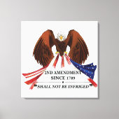 Toile 2e amendement Oreiller (Recto)