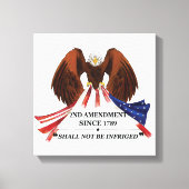 Toile 2e amendement Oreiller (Recto)