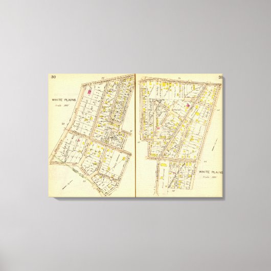 Toile 30-31 Plaines blanches (Recto)