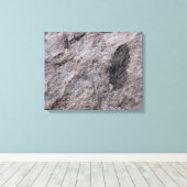 Toile 350 Millions D'Yr. Imprimer photo fossile vieux Pl (Insitu (Plancher de Bois))