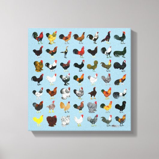 Toile 49 Coq (Recto)