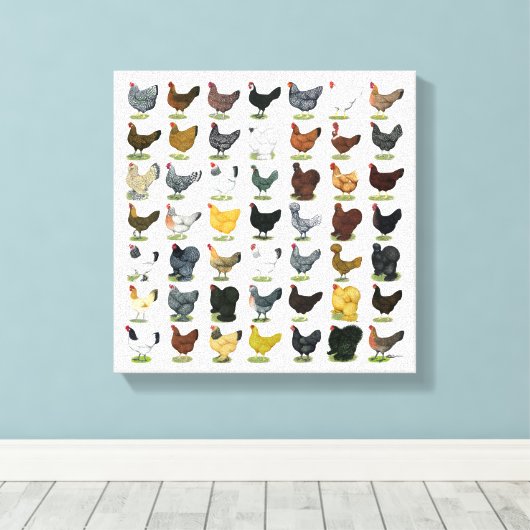 Toile 49 poules de poulet (Insitu (Plancher de Bois))