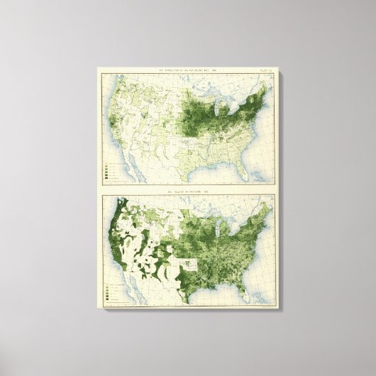 Toile 53 Hay 1890 (Recto)