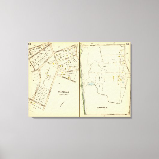 Toile 5859 Scarsdale (Recto)