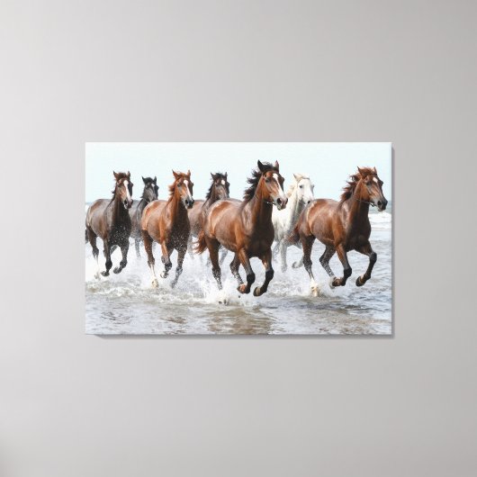 Toile 7 Hourses Premium Wrapped Canvas (Recto)