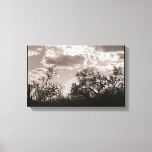Toile à brosse (désert de Sonoran) (Recto)