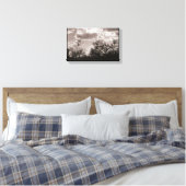 Toile à brosse (désert de Sonoran) (Insitu(Chambre))