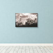 Toile à brosse (désert de Sonoran) (Insitu (Plancher de Bois))