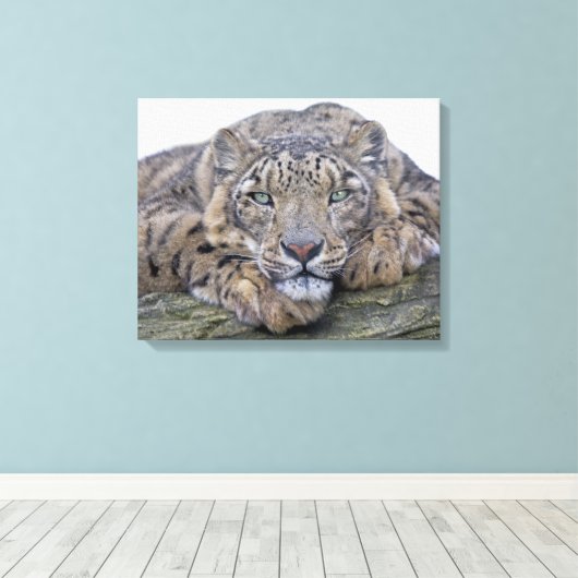 Toile à contours écorchés (Insitu (Plancher de Bois))