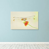 Toile à damiers de réglage (Dythemis fugax) sur le Mexiq (Insitu (Plancher de Bois))