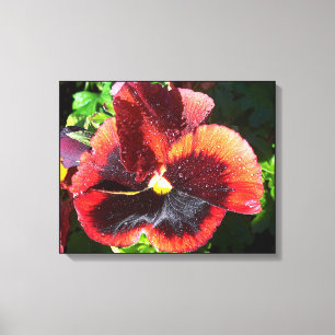 Toile à fleurs de Pansy