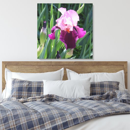 Toile à fleurs rose Iris baisée au soleil (Insitu(Chambre))