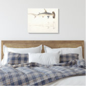 Toile A Hammer-headed Shark, Loheia, formerly attributed (Insitu(Chambre))