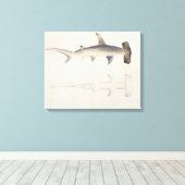 Toile A Hammer-headed Shark, Loheia, formerly attributed (Insitu (Plancher de Bois))