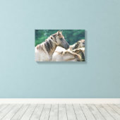 Toile A herd of Brumby Horses from Australie (Insitu (Plancher de Bois))