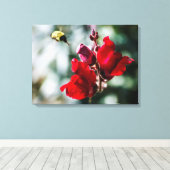 Toile À la recherche de nectar sucré (Insitu (Plancher de Bois))