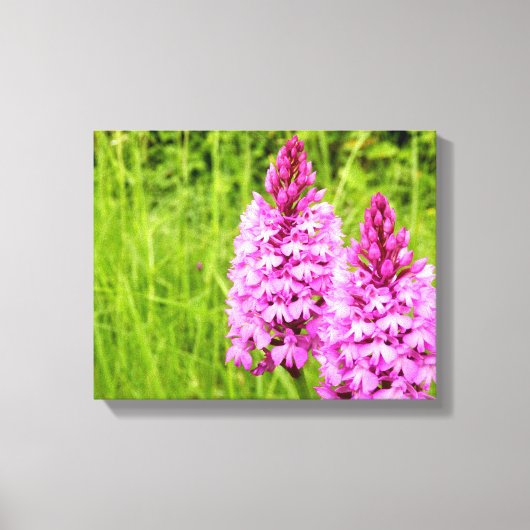 Toile à orchidées pyramidales (Recto)