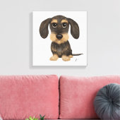 Toile À poils durs Dachshund | Teckel de chien de carica (Insitu(Salon))