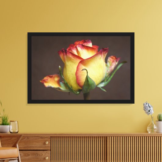 Toile A Rose Is a Rose (Insitu(Salon))