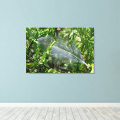 Toile A stray feather (Insitu (Plancher de Bois))