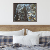 Toile À travers les branches (Insitu(Chambre))