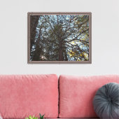 Toile À travers les branches (Insitu(Salon))