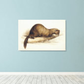 Toile A Weasel, 1832 (avec stylo, encre, gouache et gomm (Insitu (Plancher de Bois))