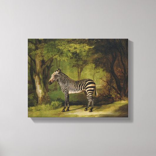 Toile A Zebra, 1763 (huile sur toile) (Recto)
