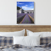 Toile Abbaye de Senanque, Gordes, Vaucluse, Provence, (Insitu(Chambre))