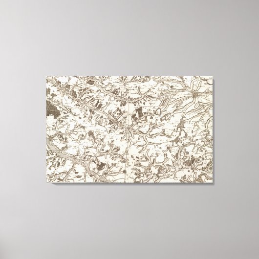 Toile Abbeville (Recto)