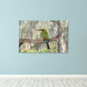 Toile Abeille arc-en-ciel, Australie (Insitu (Plancher de Bois))