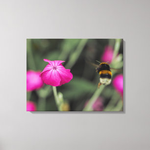 Toile Abeille Bourdon Volant Vers Une Fleur Photo Botani